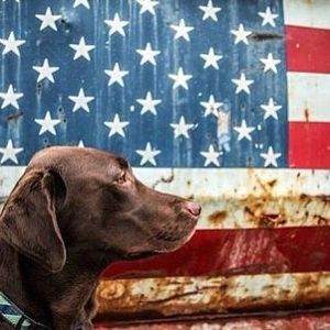 Meet your Posher, Bjas